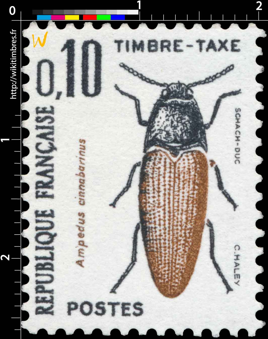 Ampedus cinnabarinus