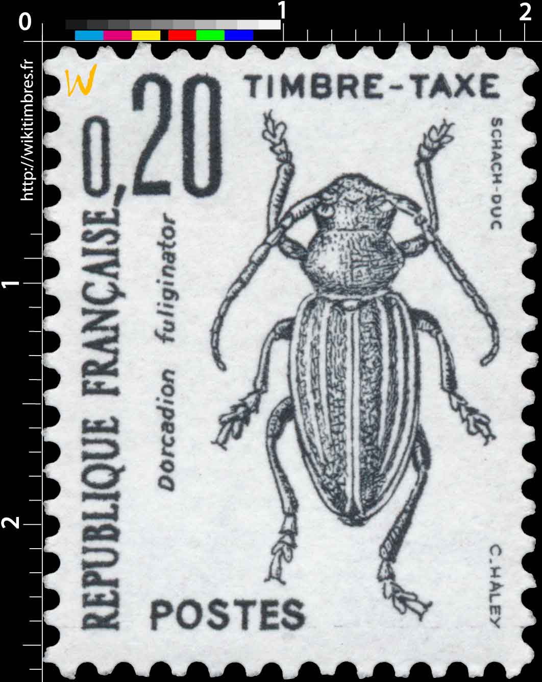 Dorcadion fuliginator