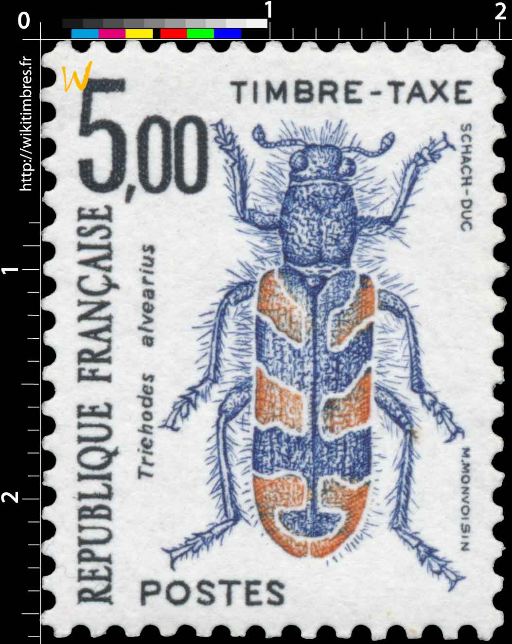 Trichodes alvearius