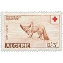 Algérie - Fennec