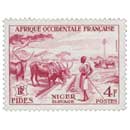 Afrique Occidentale Française - F.I.D.E.S. - Elevage Niger