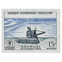 Afrique Occidentale Française - F.I.D.E.S. - Richard-Toll Sénégal