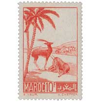 1939 Maroc - Gazelles