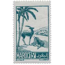 1945 Maroc - Gazelles