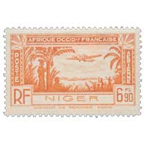 Niger - Avion et paysage