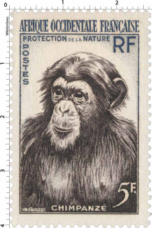 Afrique Occidentale Française - Protection de la nature - Chimpanzé