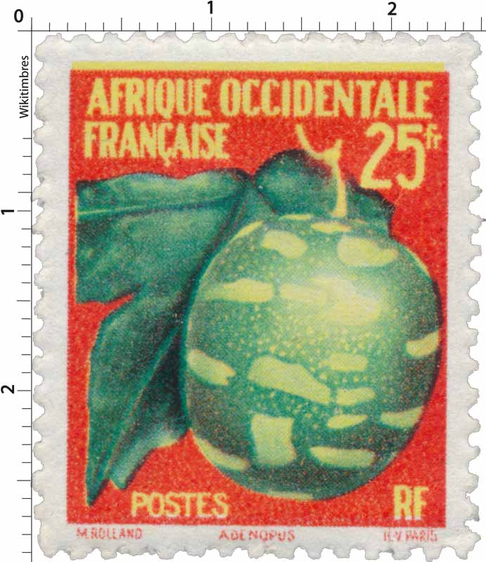 Afrique Occidentale Française - Adenopus