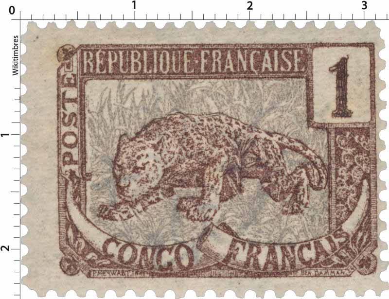 Congo - type panthère