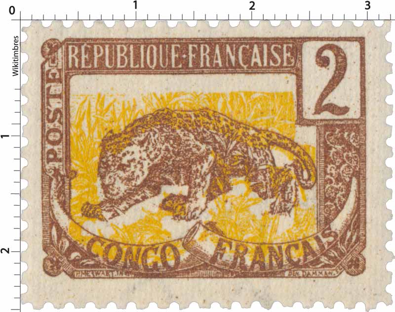 Congo - type Panthère
