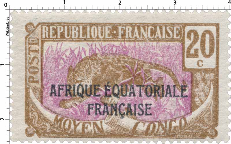 Congo - Panthère   