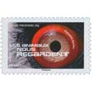 2015 LES ANIMAUX NOUS REGARDENT - Gypaète barbu 