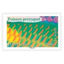 2024 Poisson perroquet