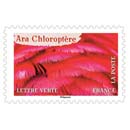 2024 Ara chloroptère