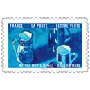 2026 Nature morte (détail) - Sara Hayward