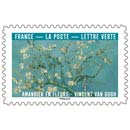 2026 Amandier en fleurs - Vincent Van Gogh