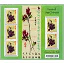 Nouvel An Chinois Année du Rat