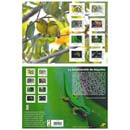 2026 La biodiversité de Mayotte