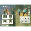 2026 À LA RENCONTRE … DU GUÊPIER D’EUROPE