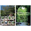 2026 Cascades et rivières de la Martinique