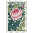 Sans légende particulière