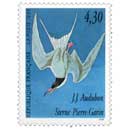 1995 J.J. Audubon Sterne Pierre-Garin