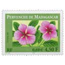 2000 PERVENCHE DE MADAGASCAR