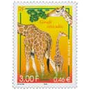 2000 Girafe réticulée