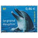 2002 Le grand dauphin