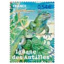 2007 Iguane des Antilles