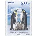2009 Manchots empereurs
