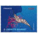 2022 Crevette Bouquet