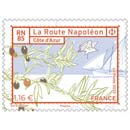 2023 RN85 LA ROUTE NAPOLÉON - Côte d'Azur