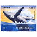 2026 La baleine à bosse