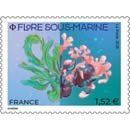 2026 FLORE SOUS-MARINE