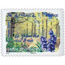 2009 Ile de France La jacinthe des bois