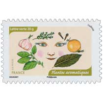 2014 L'odorat : Plantes aromatiques