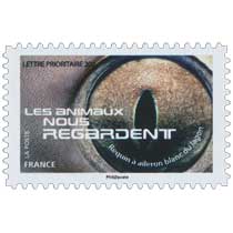 2015 LES ANIMAUX NOUS REGARDENT - Requin à aileron blanc du lagon