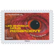 2015 LES ANIMAUX NOUS REGARDENT - Coq de race Brahma