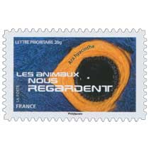 2015 LES ANIMAUX NOUS REGARDENT - Ara hyacinthe 