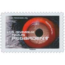2015 LES ANIMAUX NOUS REGARDENT - Gypaète barbu 