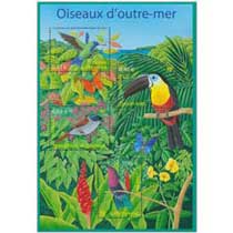 Oiseaux d'outre-mer