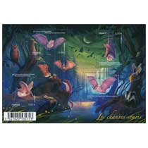2013 Les chauves-souris