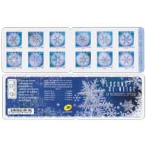 2018 FLOCONS DE NEIGE EN MICROSCOPIE OPTIQUE