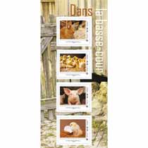 2013 Dans la basse-cour