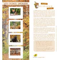 2013 Les grands animaux de la forêt