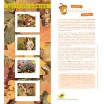 2013 Les petits animaux de la forêt