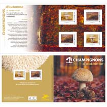 2025 CHAMPIGNONS D’AUTOMNE