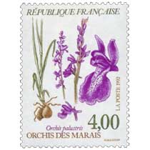 1992 ORCHIS DES MARAIS Orchis palustris