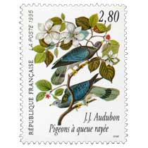 1995 J.J. Audubon Pigeons à queue rayée