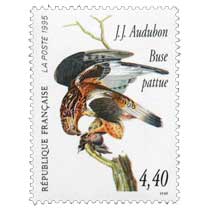 1995 J.J. Audubon Buse pattue